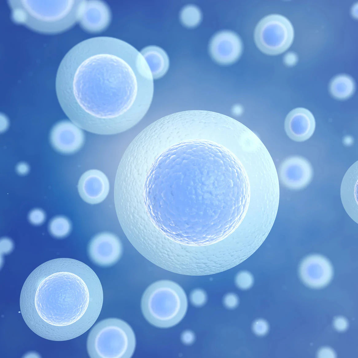 Complete Cellular Rejuvenation In Just One Daily Scoop